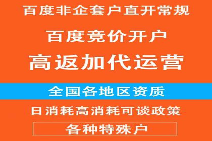 SEM托管服务成功案例背后的故事